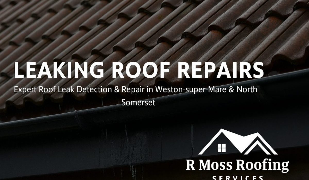 leaking roof detection and repair service