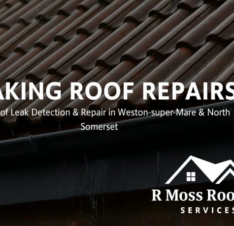 leaking roof detection and repair service