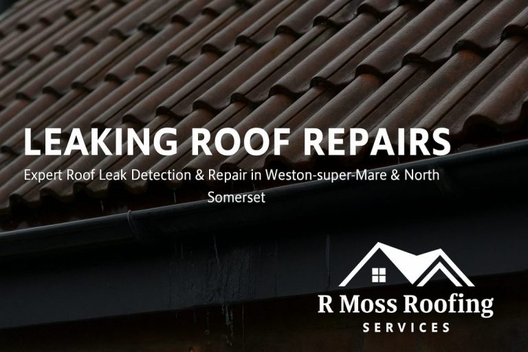 leaking roof detection and repair service