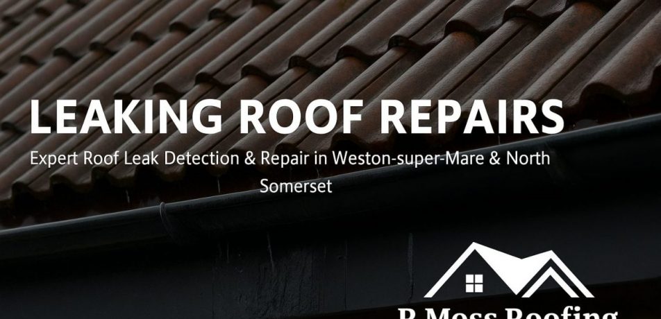 leaking roof detection and repair service